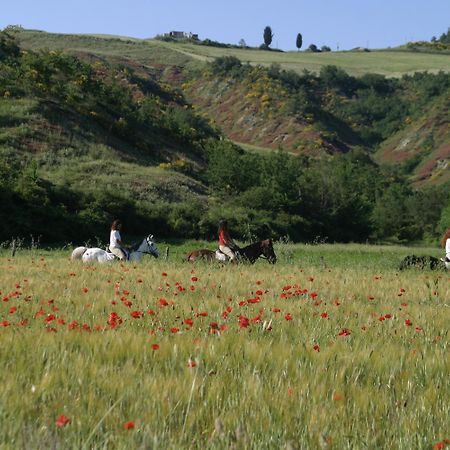 Il Poggio Celle sul Rigo Exterior foto