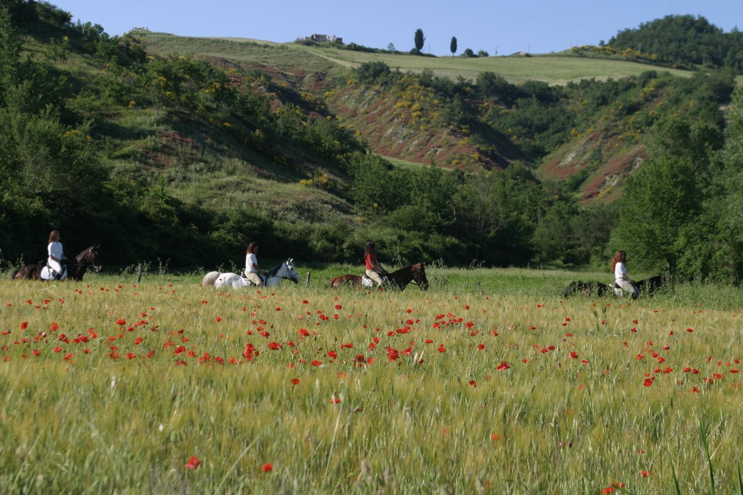 Il Poggio Celle sul Rigo Exterior foto